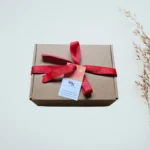 kraft gift box with red ribbon and wishenst store gift tag